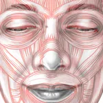 ARTNATOMYA (in english) icon