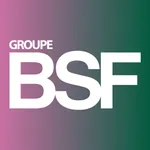 Groupe BSF icon