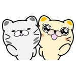 Today nationally cat day icon