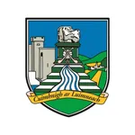 Limerick GAA icon