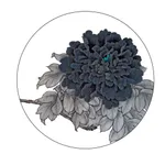 sfPivoine - 牡丹 icon