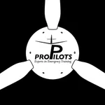 ProPilots Airplane icon