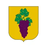 Ajuntament Bellvís i els Arcs icon
