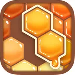 Honey Blocks -Hexa Puzzle- icon