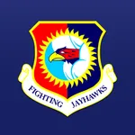 184th Intelligence Wing icon