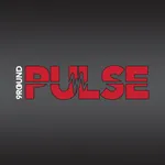 9Round Pulse icon