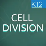 Process of Cell Division icon