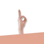 Say it with Hands icon