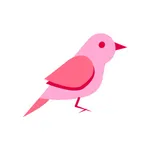 Colorful birds icon