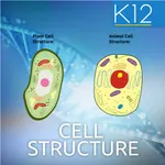 Biology Cell Structure icon