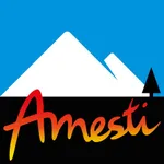 AMESTI SMART PELLET icon