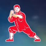 Learn Mandarin - HSK Hero Pro icon