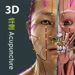 Visual Acupuncture 3D icon