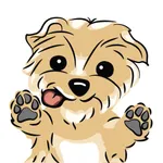 Archie the Yorkie icon