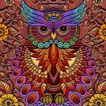 Coloring Owl:Paint Color Cases icon