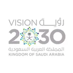 Saudi 2030 icon