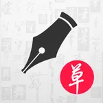 硬笔书法草书练字帖 icon