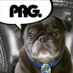 プラザアンジェログループ公式アプリ icon