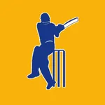 IPL 2K17 icon