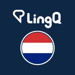 Learn Dutch | Nederlands Leren icon