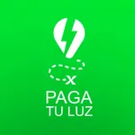 Paga tu luz icon