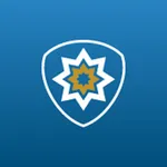 Blue Security app icon