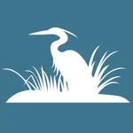 Amelia Island Guide icon