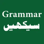 Learn English Grammar in Urdu icon