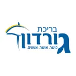 בריכת גורדון icon