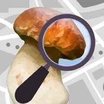 Mushroom Identificator icon