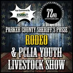 PCSP Rodeo icon