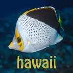 Scuba Fish Hawaii icon