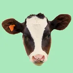 HerdSafe icon