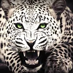 Animal Wallpapers & Backgrounds icon