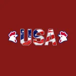 USA Fried Chicken and Pizza icon