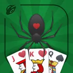 Spider Solitaire 2018 icon