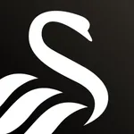 Swansea City icon