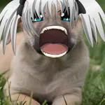 Anime Face Changer icon