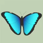 Butterflies & Dragonflies icon