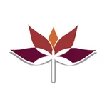 Dragonfly Yoga Studies icon