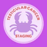 Testicular Cancer Staging icon