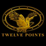 Twelve Points Client Portal icon