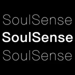 SS-SoulSense品质生活潮流品牌 icon