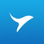 AviationInSky icon