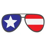 Independence Day 2017 icon