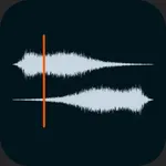 Auditor - Audio Editor icon