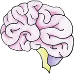 Brain Focus icon