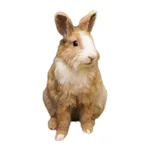 Rabbit photo sticker icon