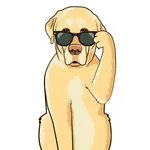 LabMojis - Labrador Retriever Emoji & Stickers icon