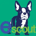 escout.me icon